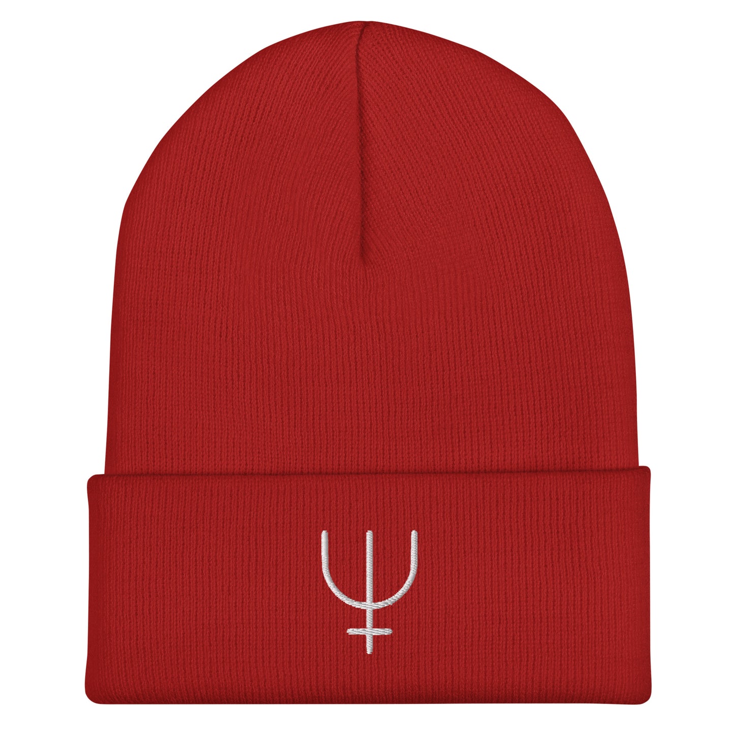 Neptune Cuffed Beanie