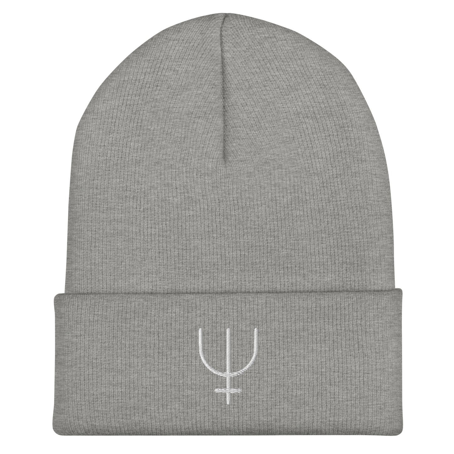 Neptune Cuffed Beanie