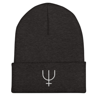 Neptune Cuffed Beanie