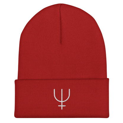 Neptune Cuffed Beanie