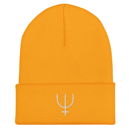 Neptune Cuffed Beanie