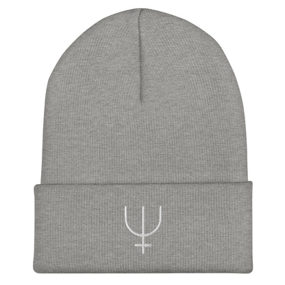 Neptune Cuffed Beanie