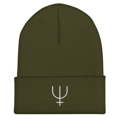 Neptune Cuffed Beanie
