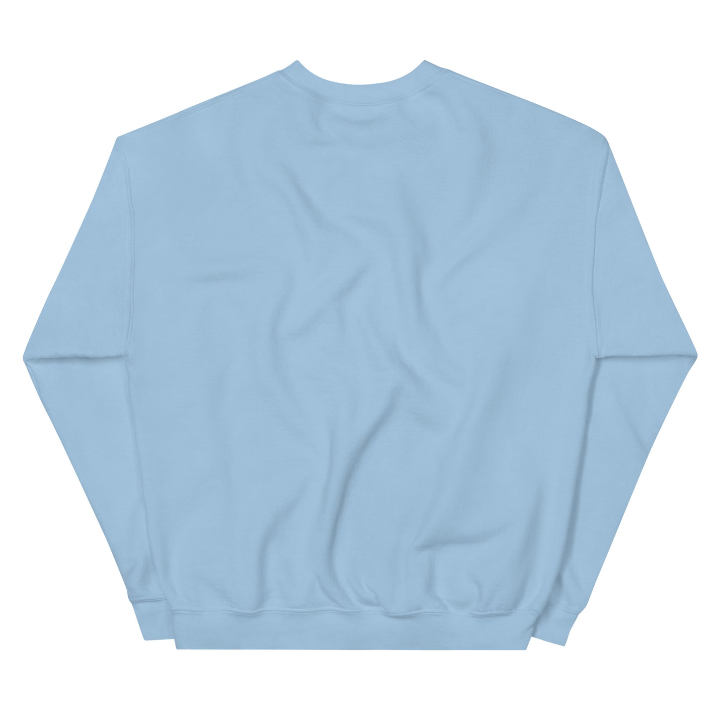 Aquarius Adult Unisex Sweatshirt