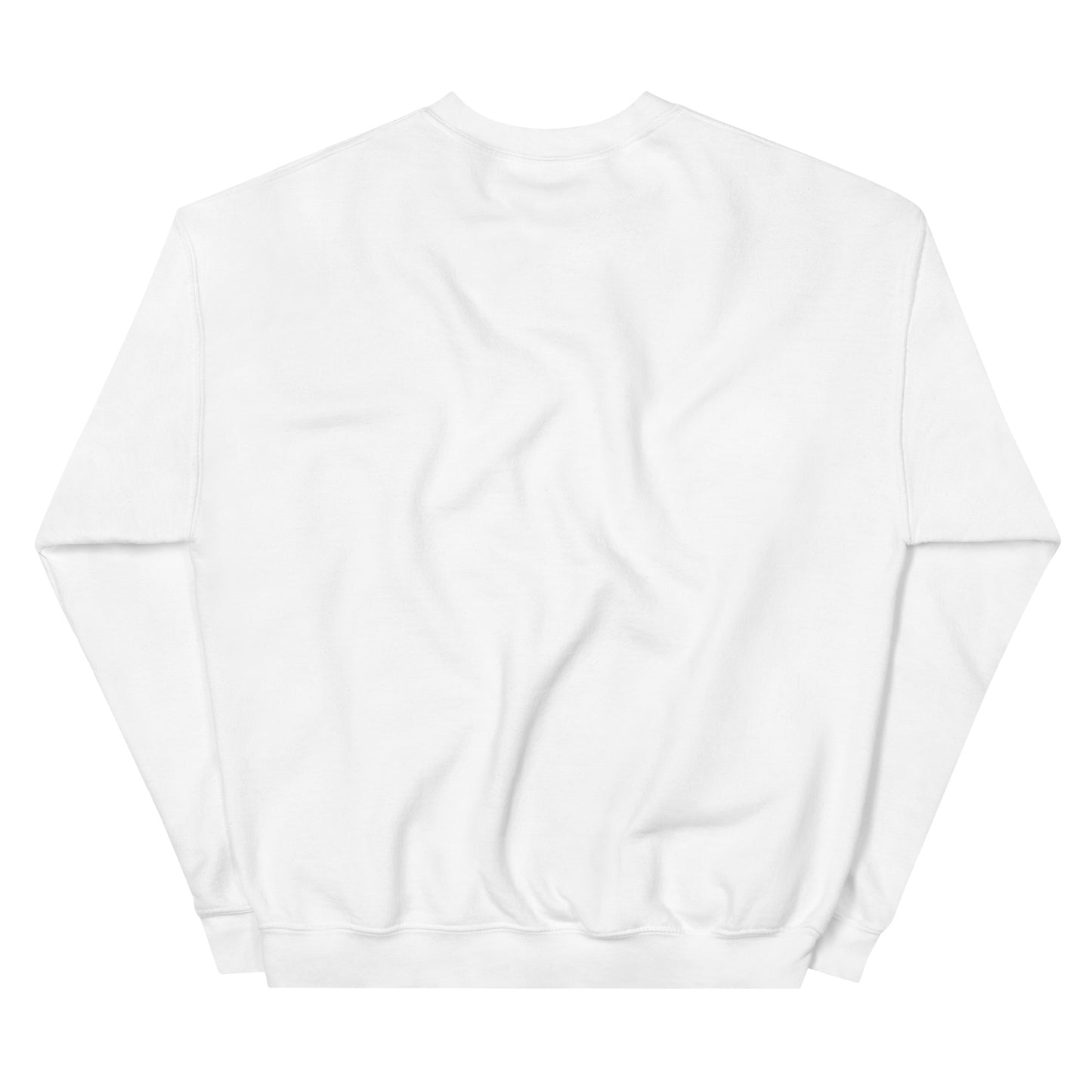 Aquarius Adult Unisex Sweatshirt